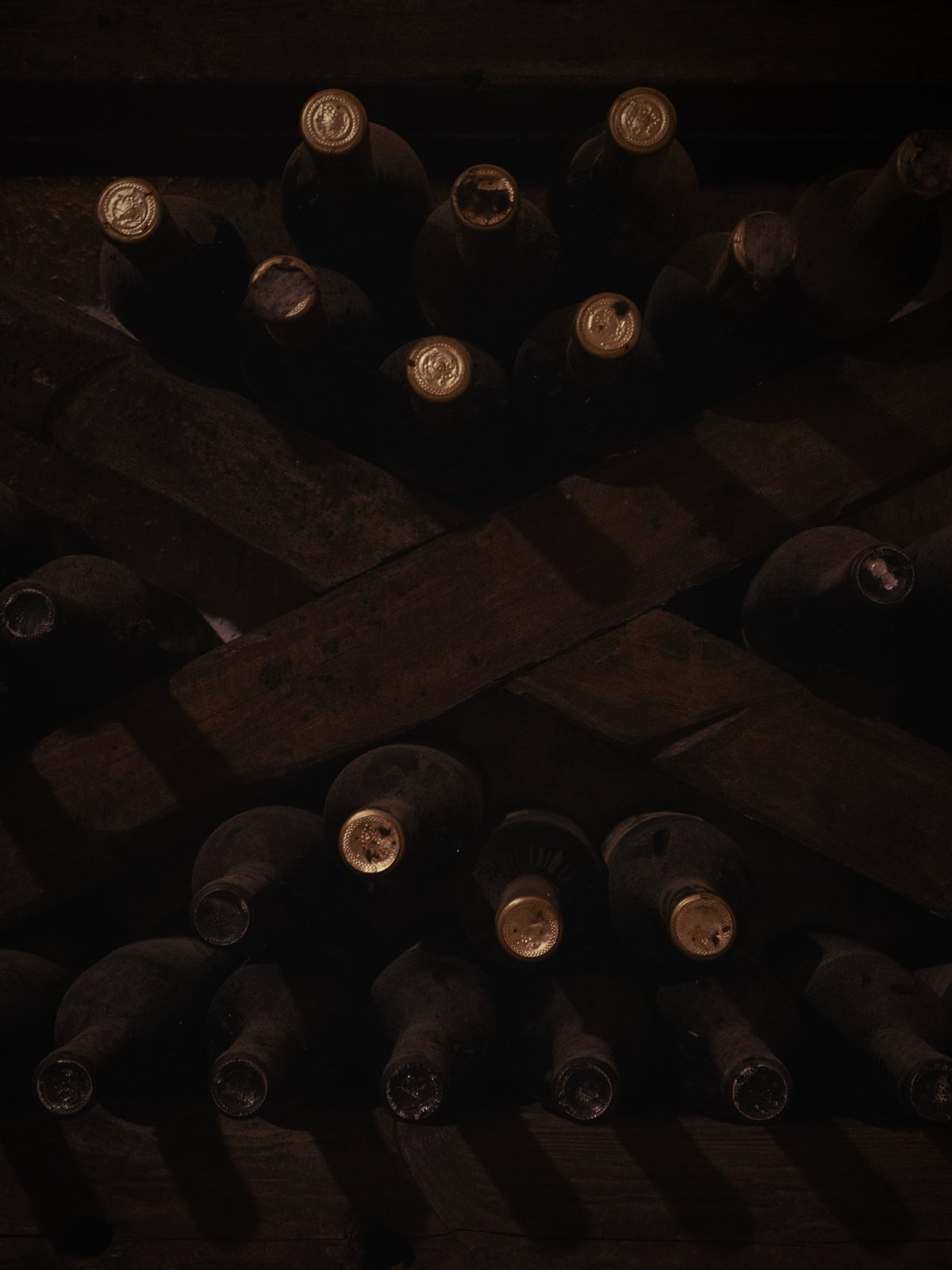 Wine racks in a dim cellar, each bottle tagged and numbered like a lot waiting to be claimed.